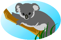 koala.gif