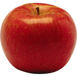 apple_red_01.jpg