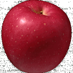 apple_red_02_3.jpg