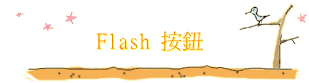 Flash s