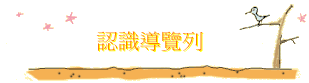 {ѾC